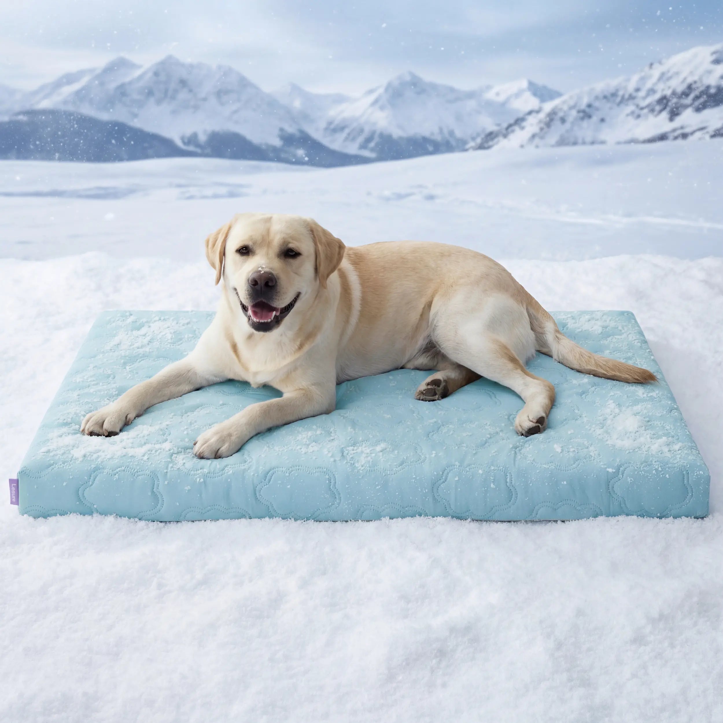 【Up to $20 Off】Bedsure Cooling Thin & Thick Mat for Dogs – Q-MAX>0.4 Washable Pet Cooling Pad, No Gel, No Electric, Non-Slip Summer Crate Bed for Large Dogs,Deals for You Days
