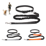 Hands-Free Running Leash 2
