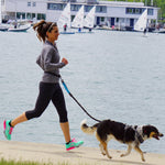 Hands-Free Running Leash 6