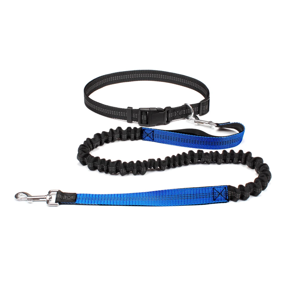 Hands-Free Running Leash