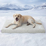 Pressure-Activated Cooling Mat for Dogs 16