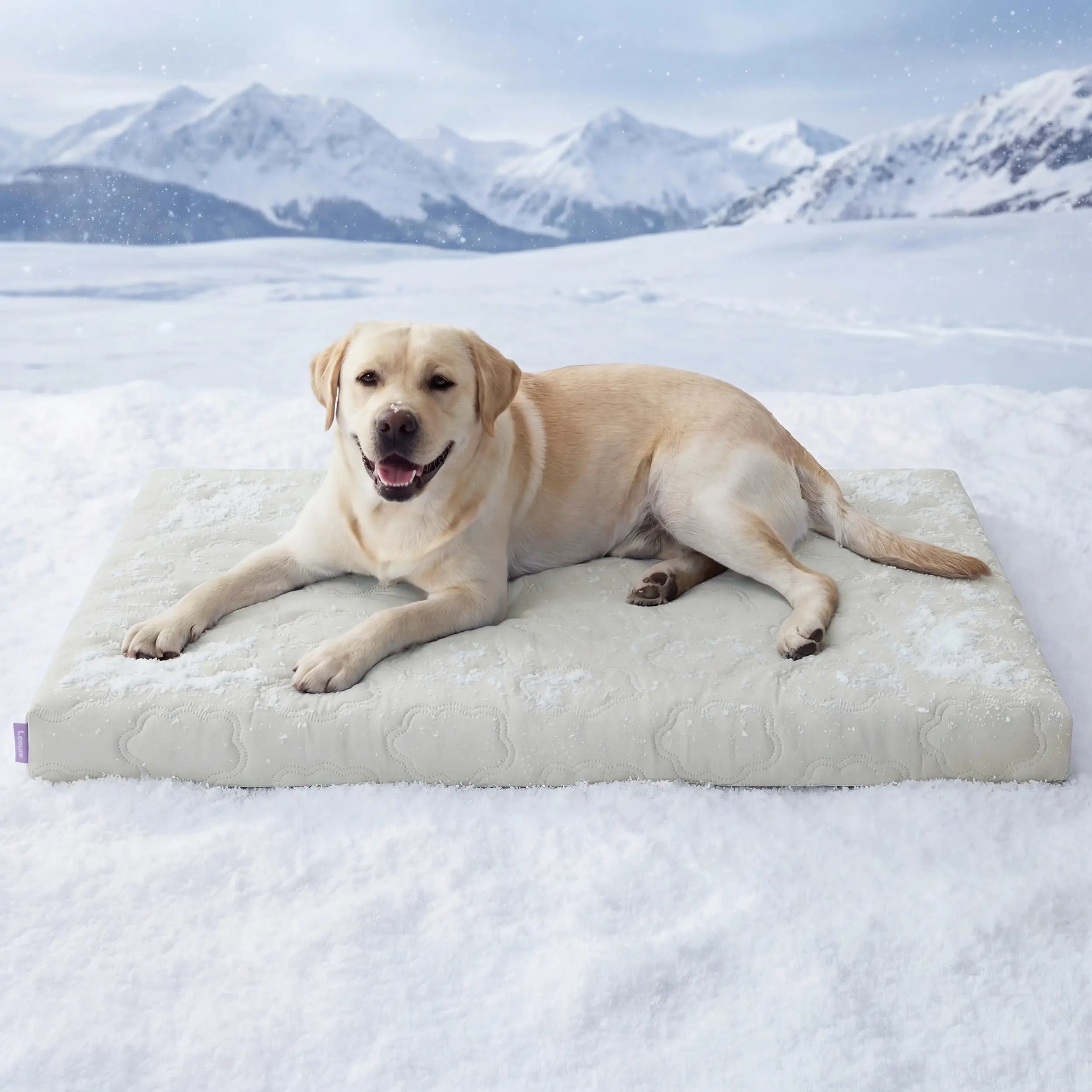 【Up to $20 Off】Bedsure Cooling Thin & Thick Mat for Dogs – Q-MAX>0.4 Washable Pet Cooling Pad, No Gel, No Electric, Non-Slip Summer Crate Bed for Large Dogs,Deals for You Days