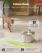 Wireless 4L Cat Water Fountain 5
