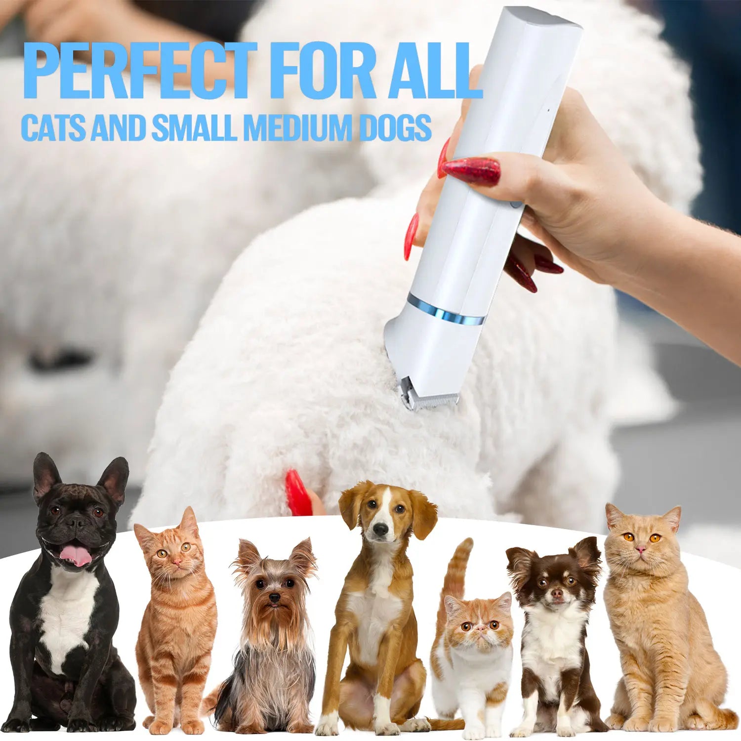 4-in-1 Grooming Kit