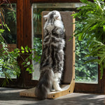 L-Shaped Wall Cat Scratcher 7