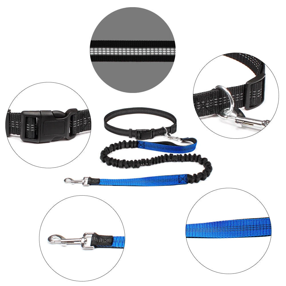 Hands-Free Running Leash
