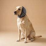 Anti-Anxiety Ear Muffs for Dogs 1